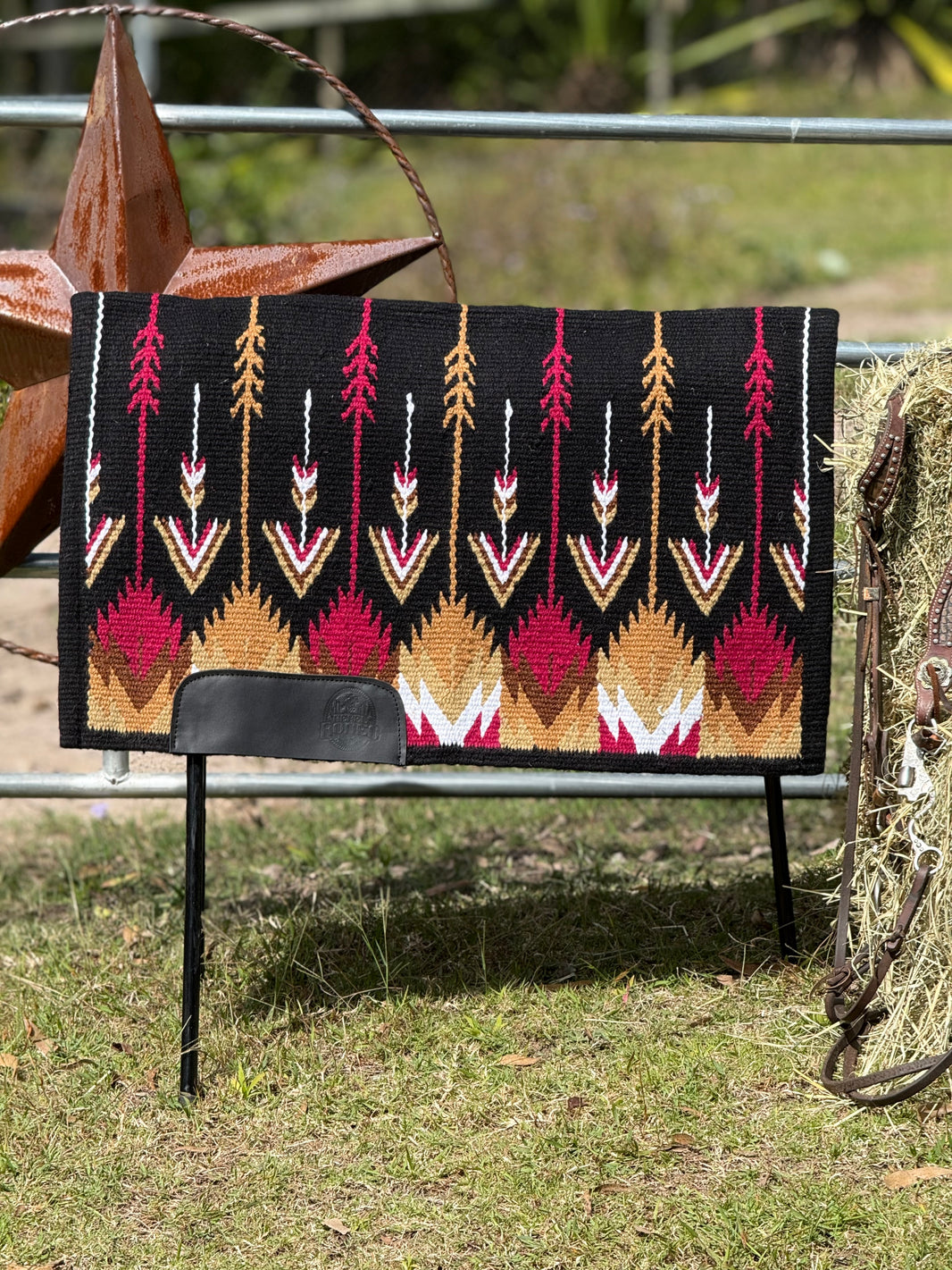 Pink Zion - Monument Valley Collection