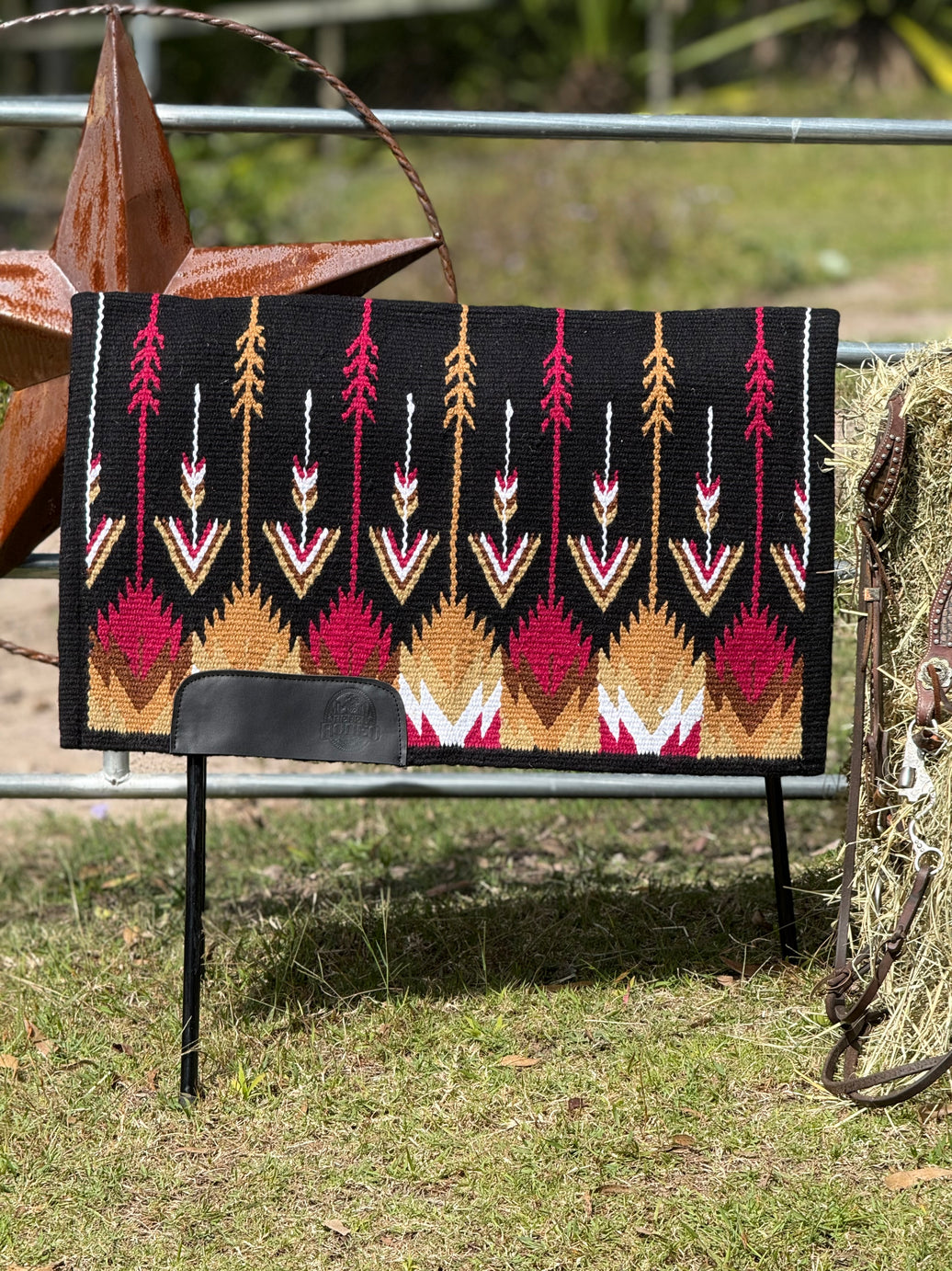 Pink Zion - Monument Valley Collection